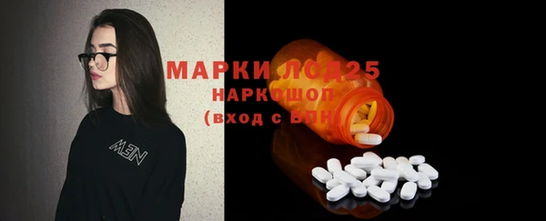 мдпв Богородицк
