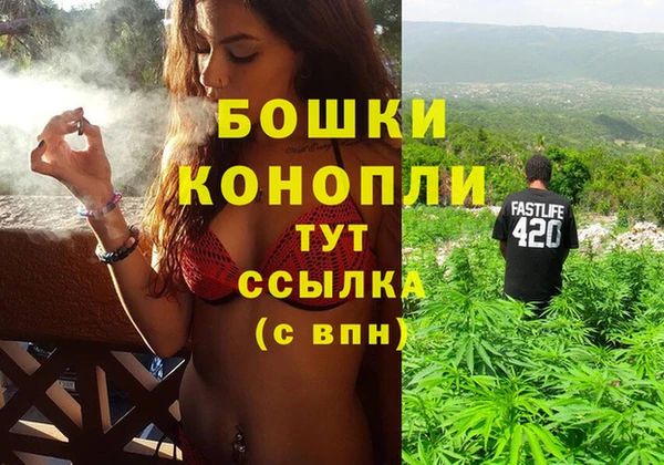 мдпв Богородицк