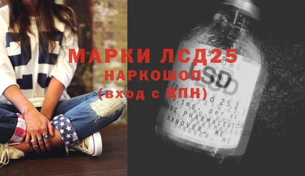 мдпв Богородицк