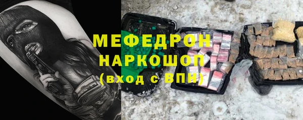 мдпв Богородицк