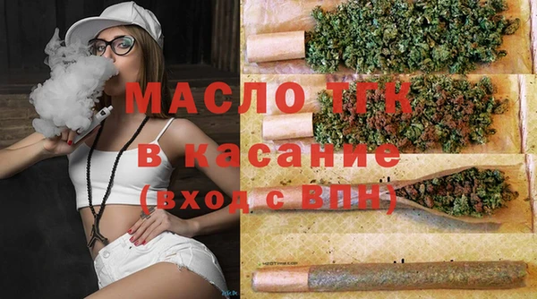 мдпв Богородицк